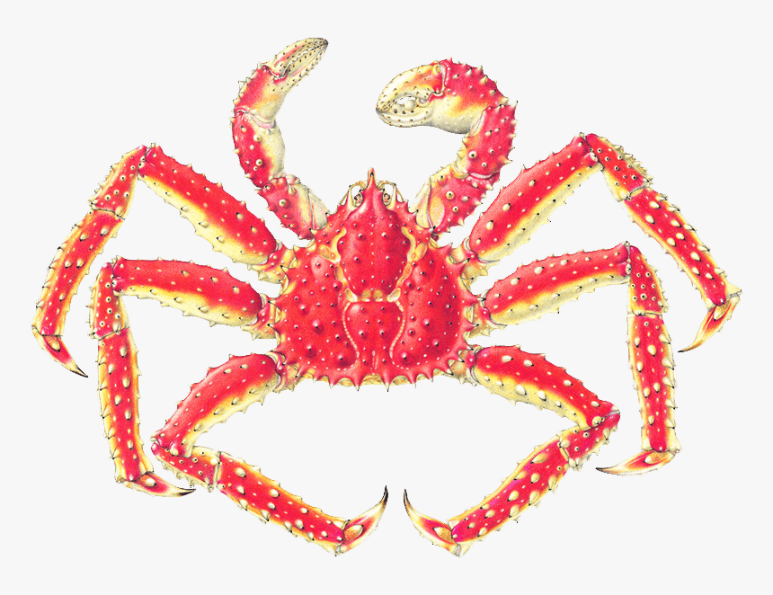 Crab Catcher La Jolla Menu, HD Png Download, Free Download
