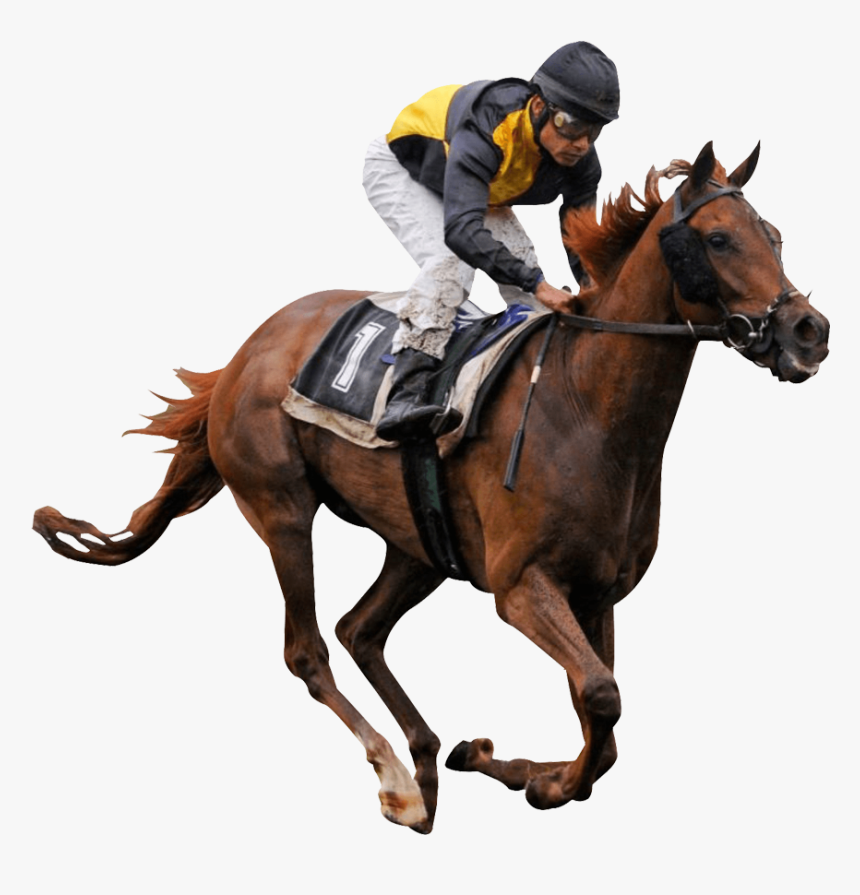 Horse Ride - Horse Racing Png, Transparent Png, Free Download