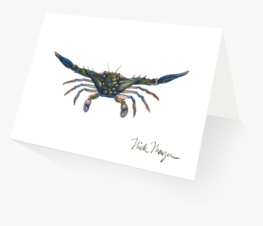 Blue Crab, Claws Out - Crab, HD Png Download, Free Download