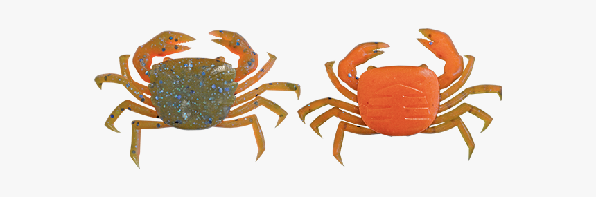 Freshwater Crab, HD Png Download, Free Download