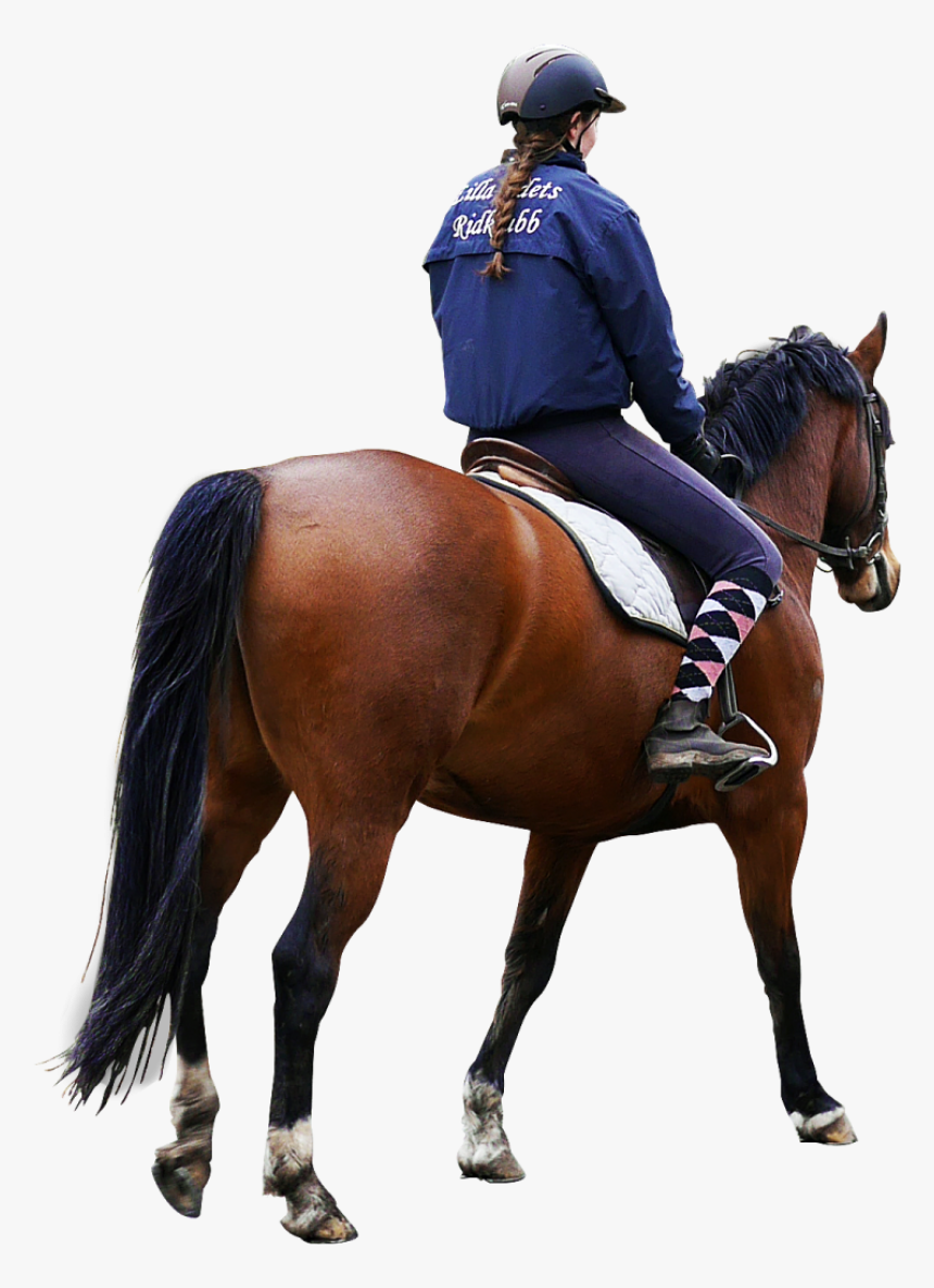 Horse Png Image - Riding Horse Png, Transparent Png, Free Download