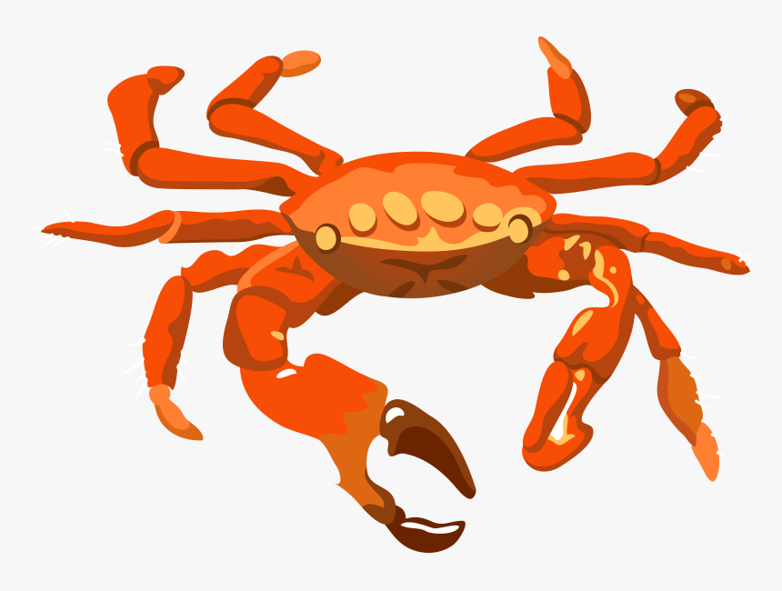 Christmas Island Red Crab - Crab Transparent Background, HD Png Download, Free Download