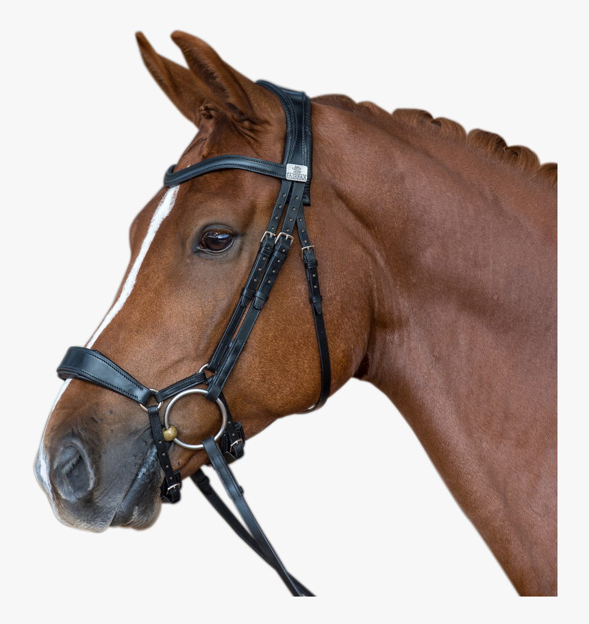 Transparent Horse Saddle Png - Fairfax Drop Noseband Bridle, Png Download, Free Download