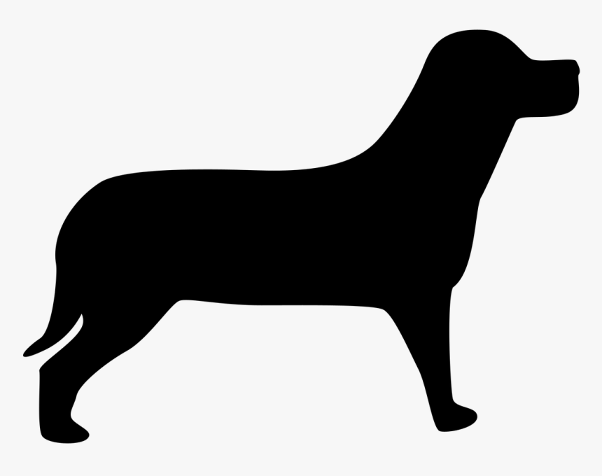 Dog Black Shadow, HD Png Download, Free Download
