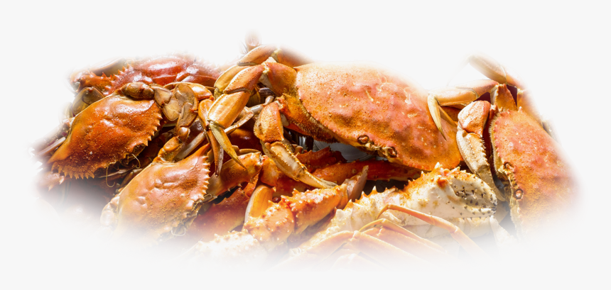 Casino Menu Chickie S - Crab Boil Png, Transparent Png, Free Download