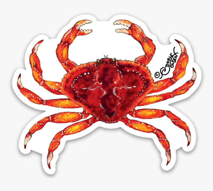 Freshwater Crab, HD Png Download, Free Download