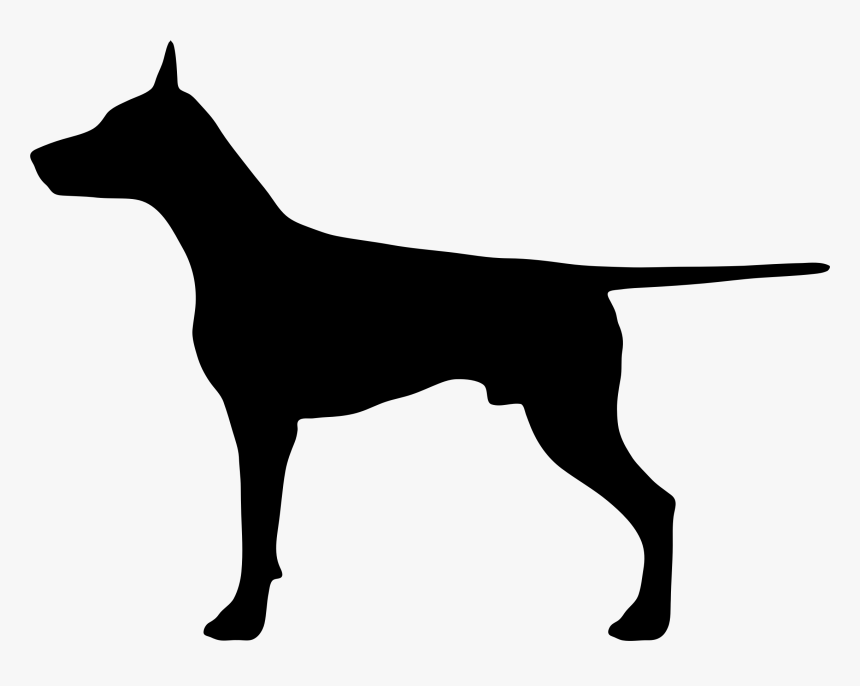 Pet Silhouettes No Background, HD Png Download, Free Download