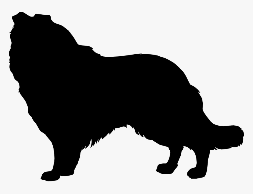 Silhouette, Dog, Collie, Mammal, Canine - Dog Silhouette No Background, HD Png Download, Free Download