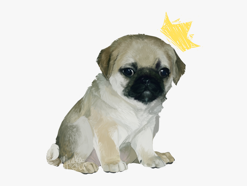 Pug Png Picture - Dog, Transparent Png, Free Download