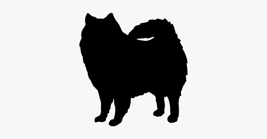 American Eskimo Dog Silhouette, HD Png Download, Free Download