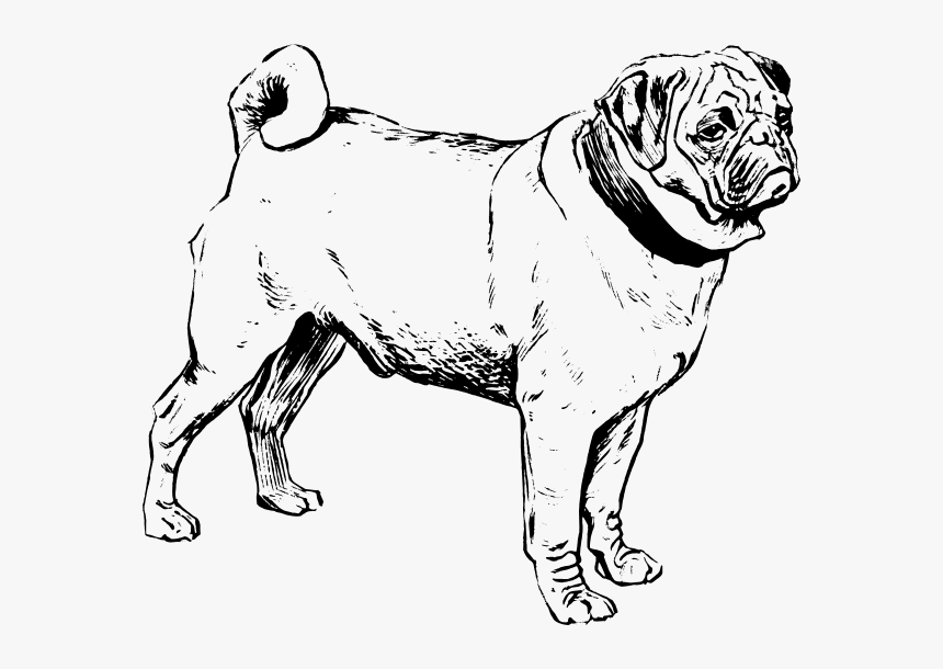 Pug Svg Clip Arts - Outline Clip Art Pug, HD Png Download, Free Download