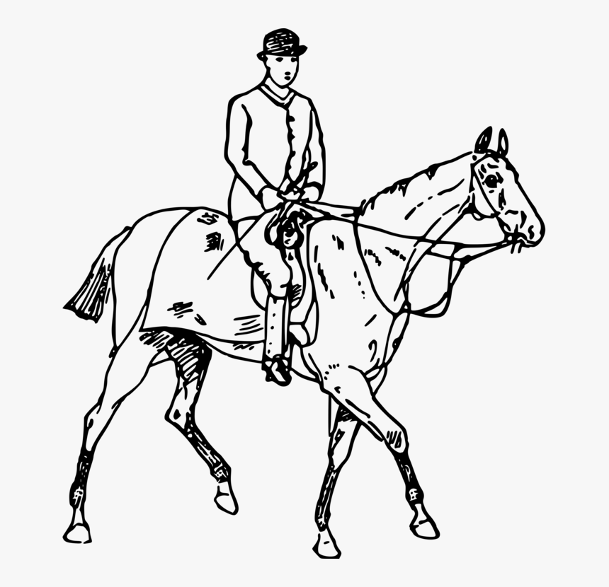 English Riding,art,horse Tack - Cal Cu Calaret Desen, HD Png Download, Free Download