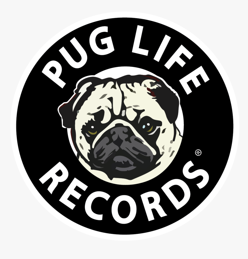 Black Circle, HD Png Download, Free Download