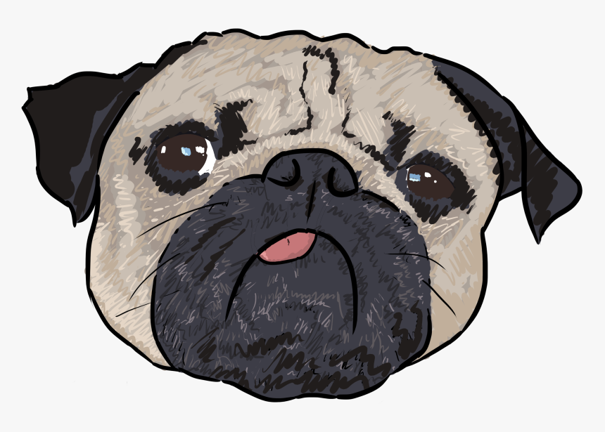 Pug, HD Png Download, Free Download