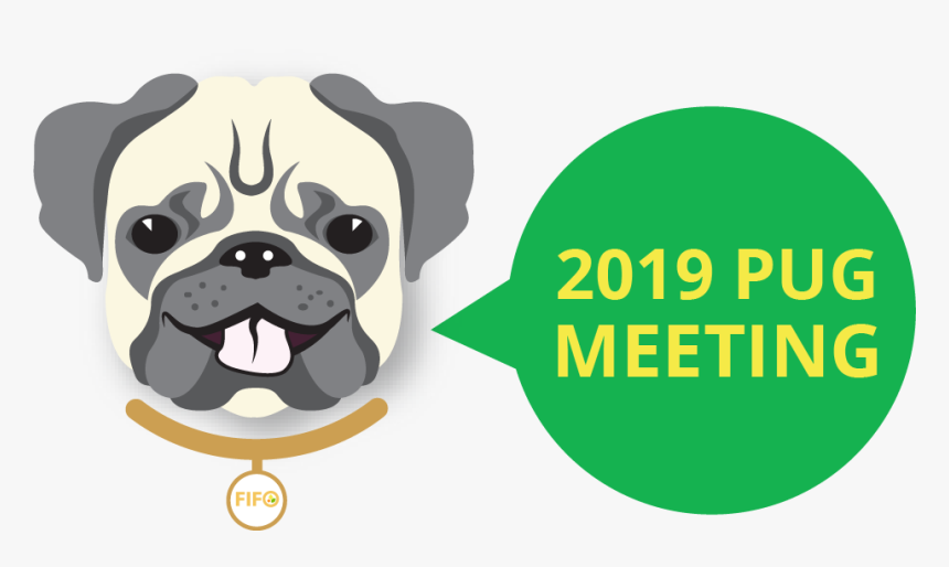 Pug - Best Of Luck For Neet 2019, HD Png Download, Free Download