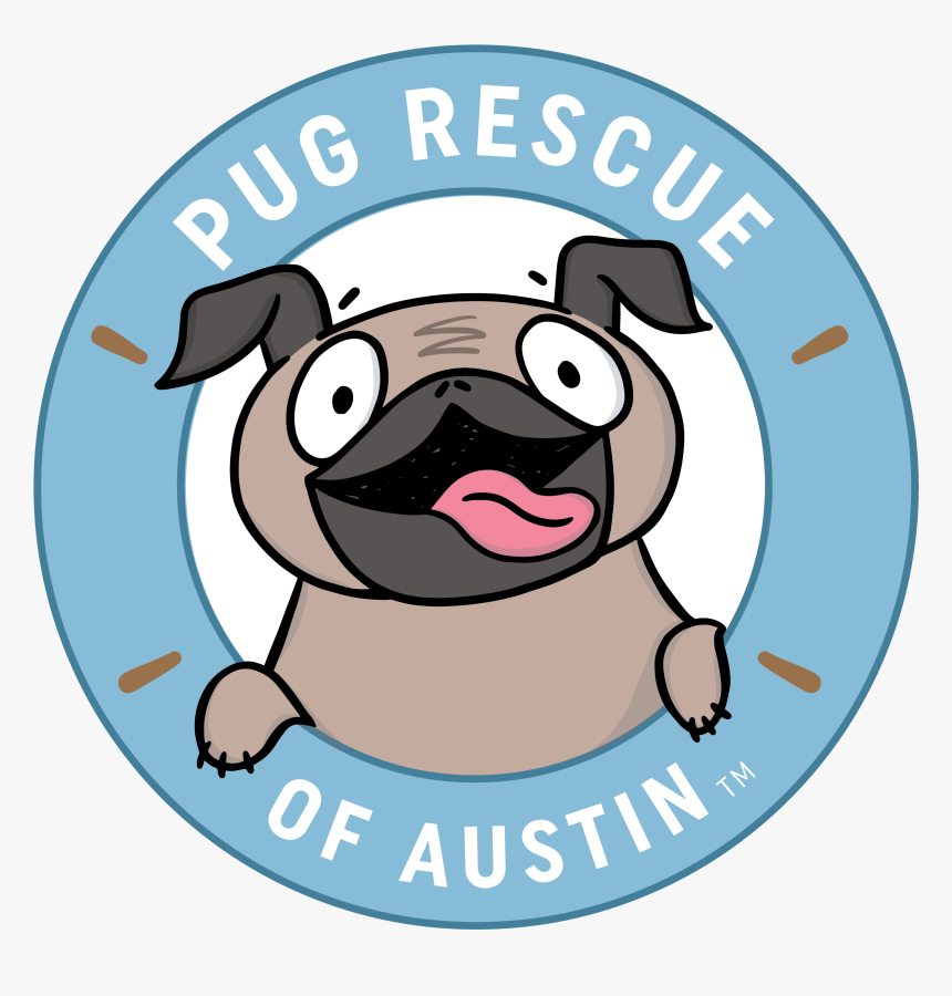 Image - Pug, HD Png Download, Free Download