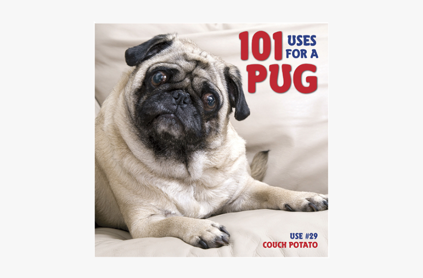 Pug Gifts - Uses Of Pug, HD Png Download, Free Download