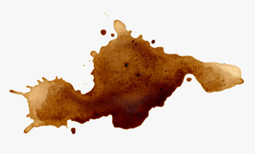 Coffee Splatter - Loss Of Habitat Clipart, HD Png Download, Free Download