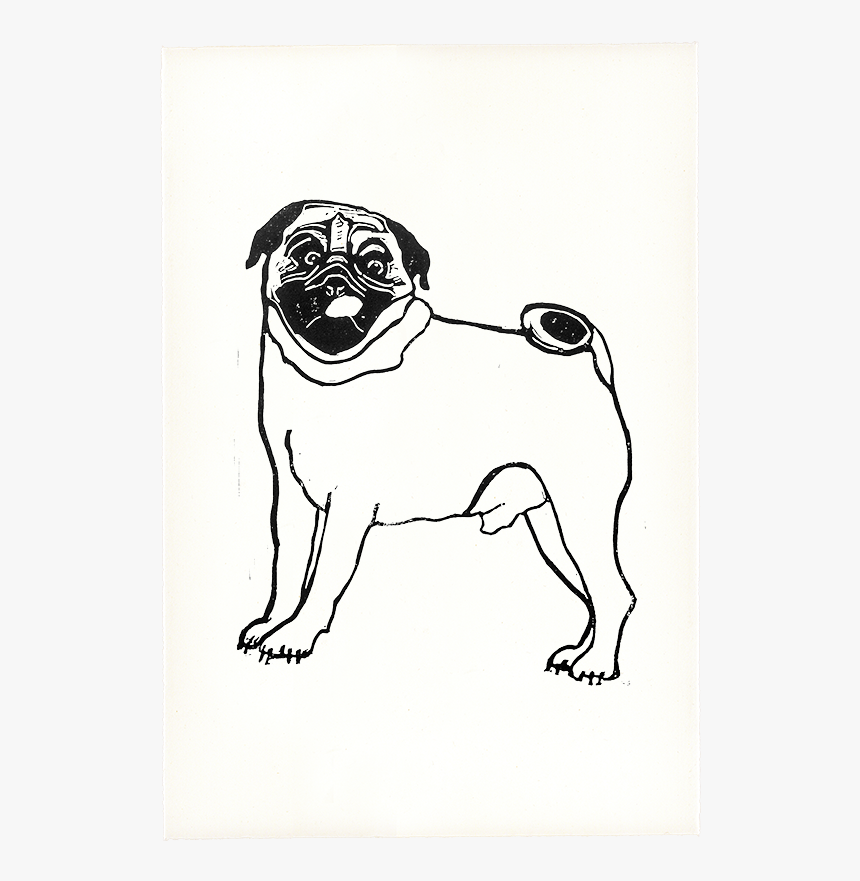 Pug, HD Png Download, Free Download