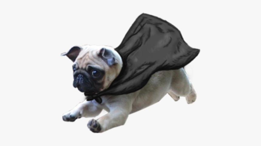 Pug Puggle Puppy T-shirt Dog Like Mammal Dog Dog Breed - Dog Running Transparent Background, HD Png Download, Free Download