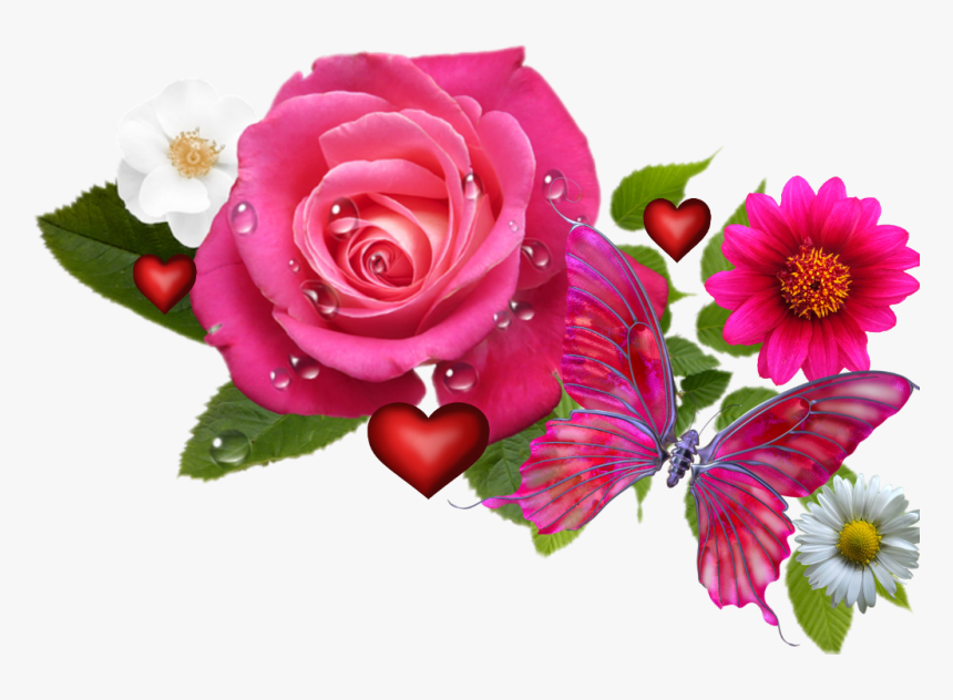 #coronadeflores #hermosa"💓 #beatifulflower #flores - Get Well Soon, HD Png Download, Free Download