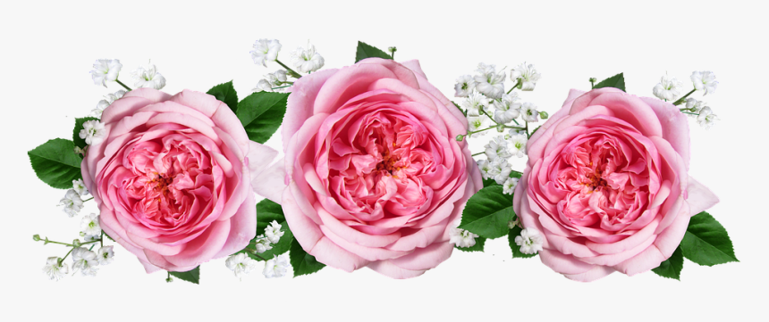 Rosas, Flores, Acuerdo - Arranjo De Flores Rosa Png, Transparent Png, Free Download