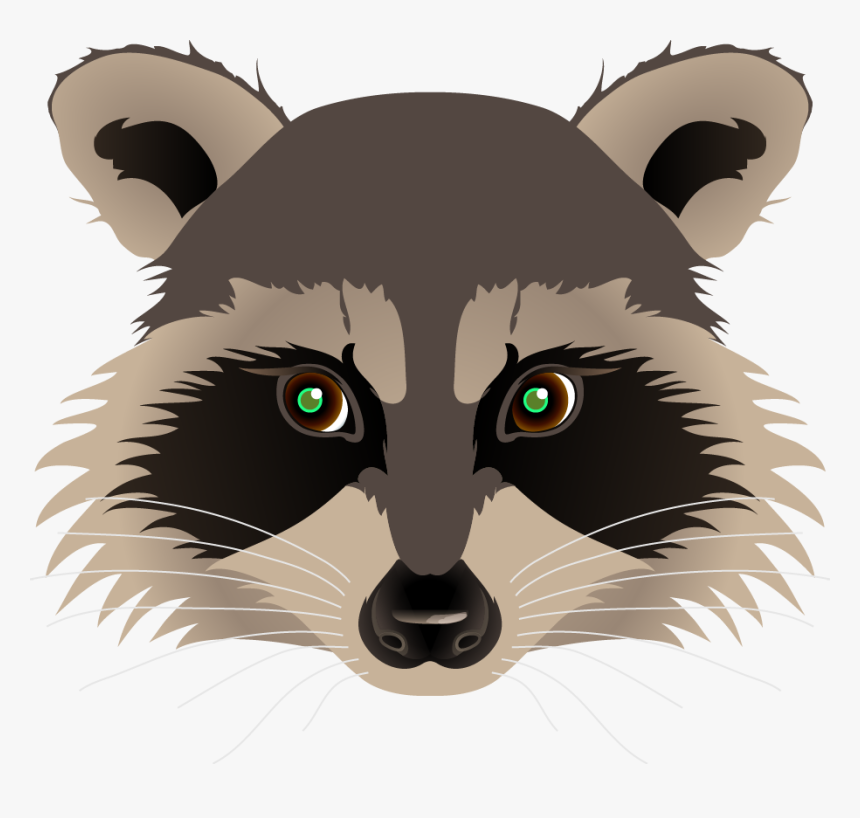 Transparent Raccoon Clipart - Raccoon Face No Background, HD Png Download, Free Download