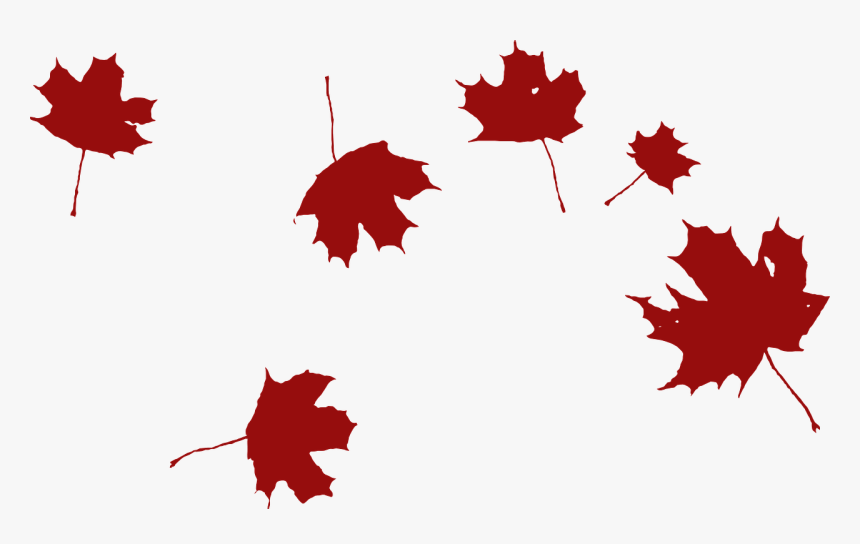 Maple Falling Wind Red Leaves Png Image - Clipart Autumn Leaves Black And White, Transparent Png, Free Download