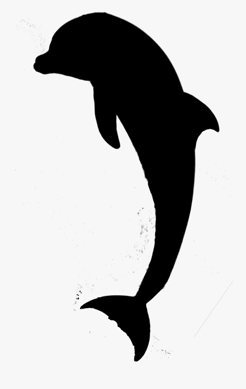 Dolphin Bird Fauna Beak Silhouette - Transparent Dolphins Silhouette Png, Png Download, Free Download