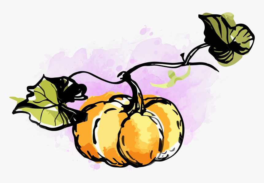 Watercolor Pumpkin Clipart - Pumpkin Fall Watercolor Clipart, HD Png Download, Free Download