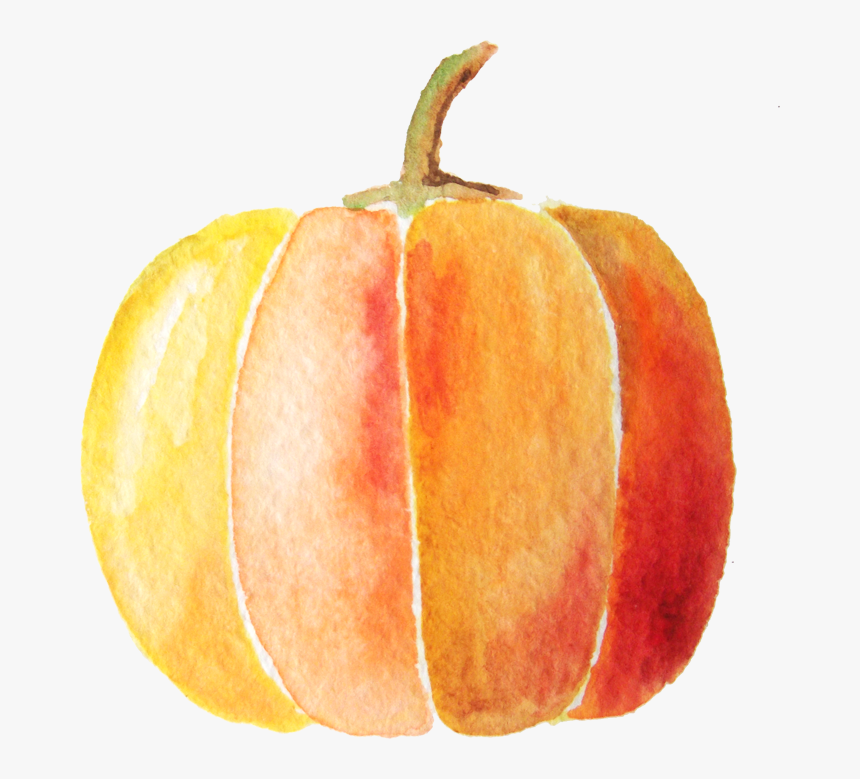 Transparent Watercolor Pumpkin Clipart - Water Color Pumpkin Png, Png Download, Free Download