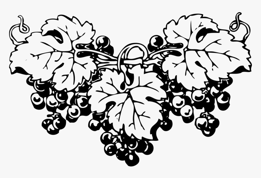 Art,monochrome Photography,monochrome - Wine Grapes Clipart Black And White, HD Png Download, Free Download