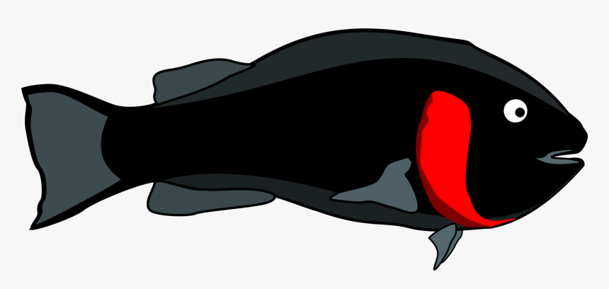 Transparent Dolphin Silhouette Png - Clip Art, Png Download, Free Download