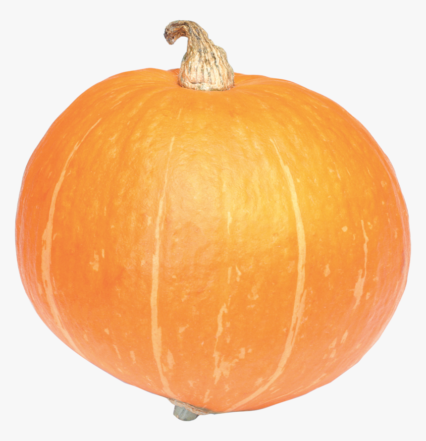 Calabaza Png, Transparent Png, Free Download