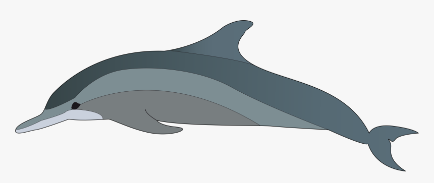 Dolphin Clipart Dolphin Clip Art 3 Car Pictures - Dolphin Clipart, HD Png Download, Free Download