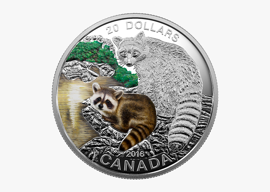 2016 Coin Collection Canada, HD Png Download, Free Download