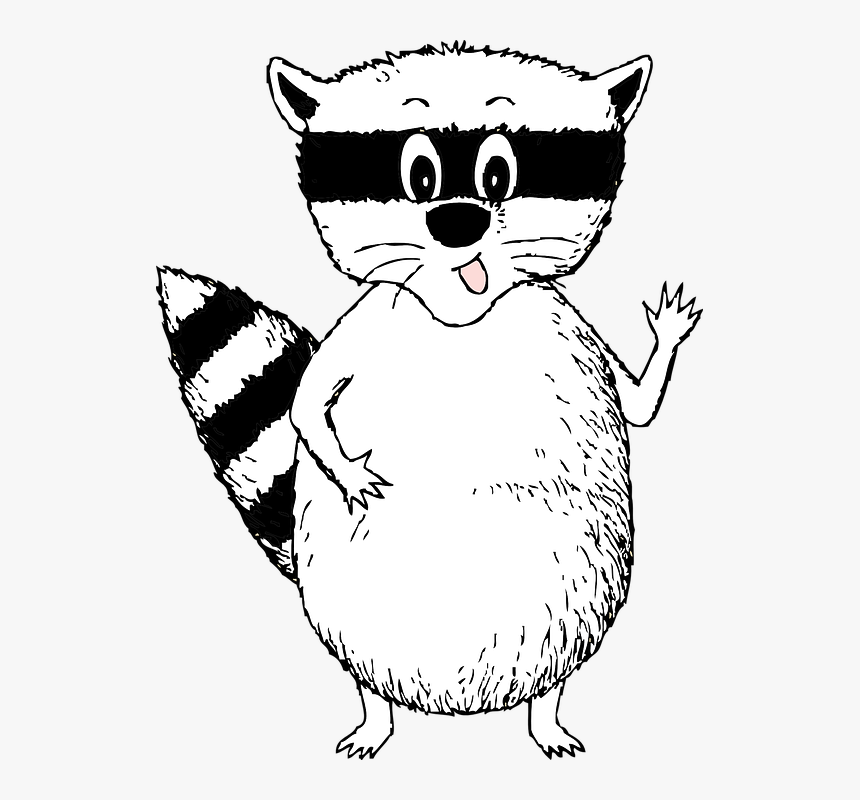 Raccoon, Smiling, Standing, Animal, Waving, Explaining - Cartoon Racoon Black And White, HD Png Download, Free Download