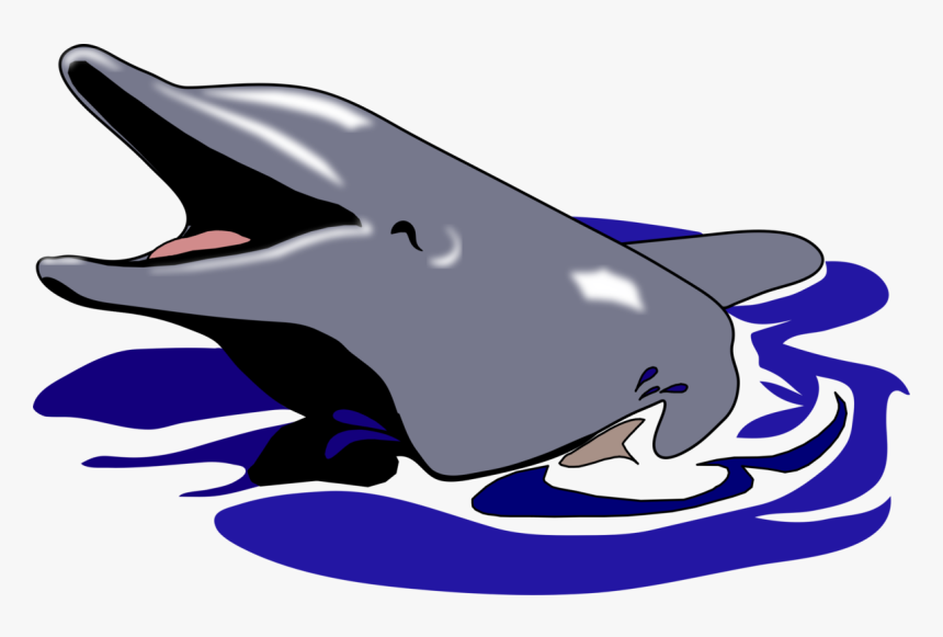 Cobalt Blue,tucuxi,wildlife - Dolphin Open Mouth Png, Transparent Png, Free Download