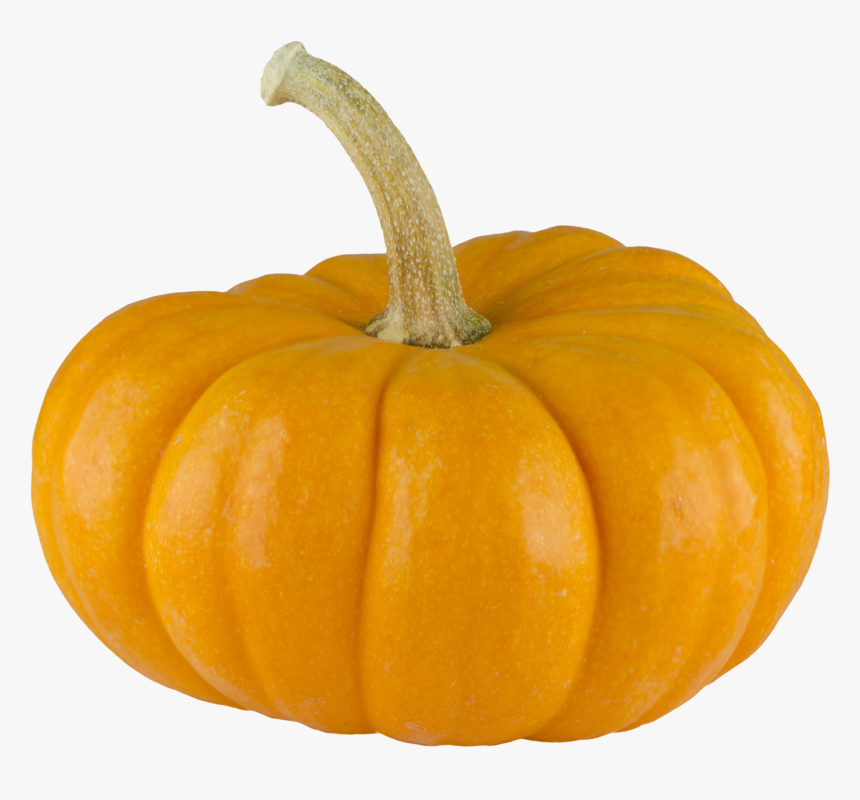 Pumpkin Png Images Transparent - Pumpkin, Png Download, Free Download