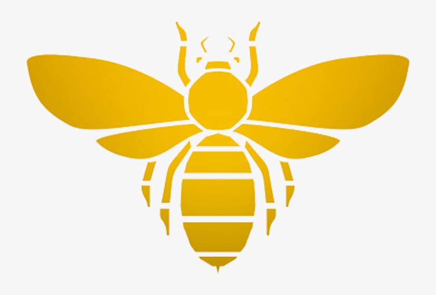 Bee Logo Png - Png Logo Honey Bee, Transparent Png, Free Download