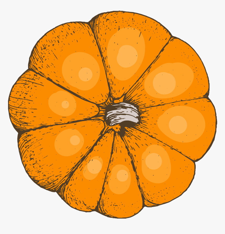 Transparent Watercolor Pumpkin Clipart - Circle, HD Png Download, Free Download