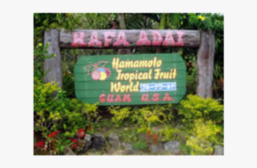 Hamamoto Tropical Fruit World Image - Sign, HD Png Download, Free Download