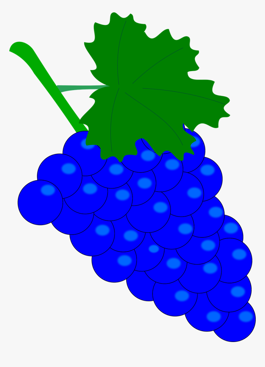 Grape, Vintage, Wine, Nature, Fruit, Foliage, Plant - Blue Grapes Clipart, HD Png Download, Free Download