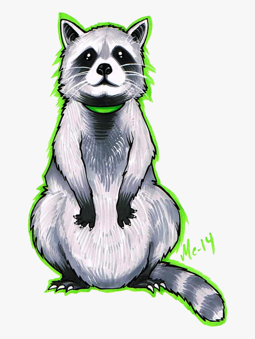 Transparent Raccoon Face Png - Raccoons Drawing, Png Download, Free Download