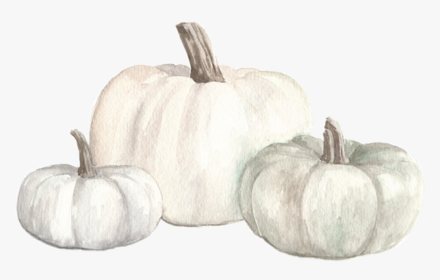 #watercolor #white #pumpkins #fall #autumn #png - Pumpkin, Transparent Png, Free Download