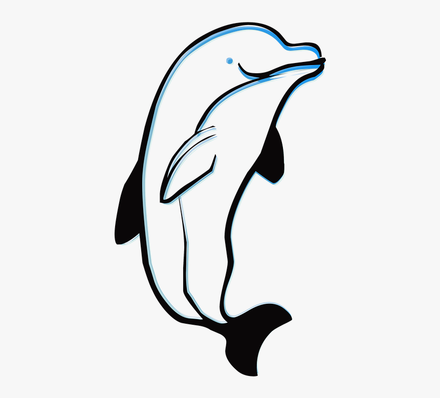 Dolphin, Outline, Animal, Sea, Ocean, Silhouette, Fish - Binatang Garis, HD Png Download, Free Download