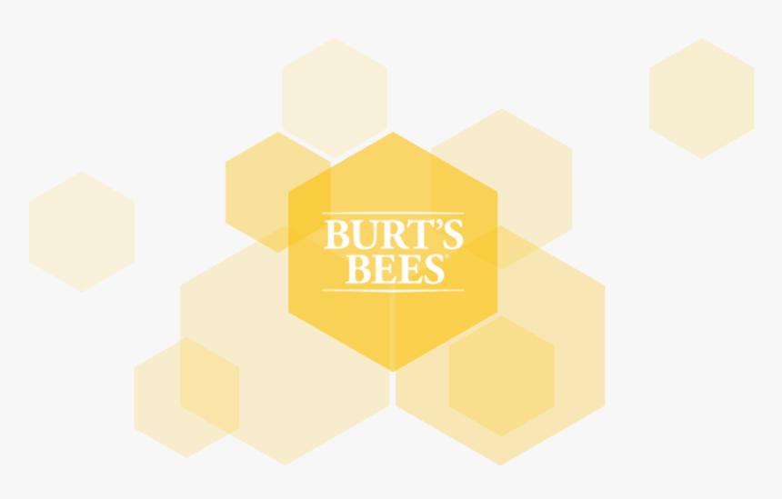 Burts-color - Graphic Design, HD Png Download, Free Download