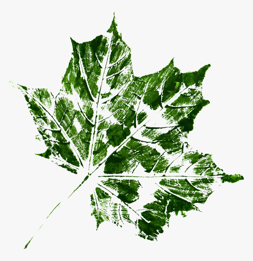 Transparent Leaves Texture, HD Png Download, Free Download