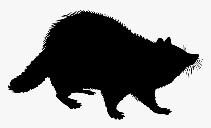 Raccoon Silhouette Drawing Logo Cc0 - Silhouette Racoon Clip Art, HD Png Download, Free Download