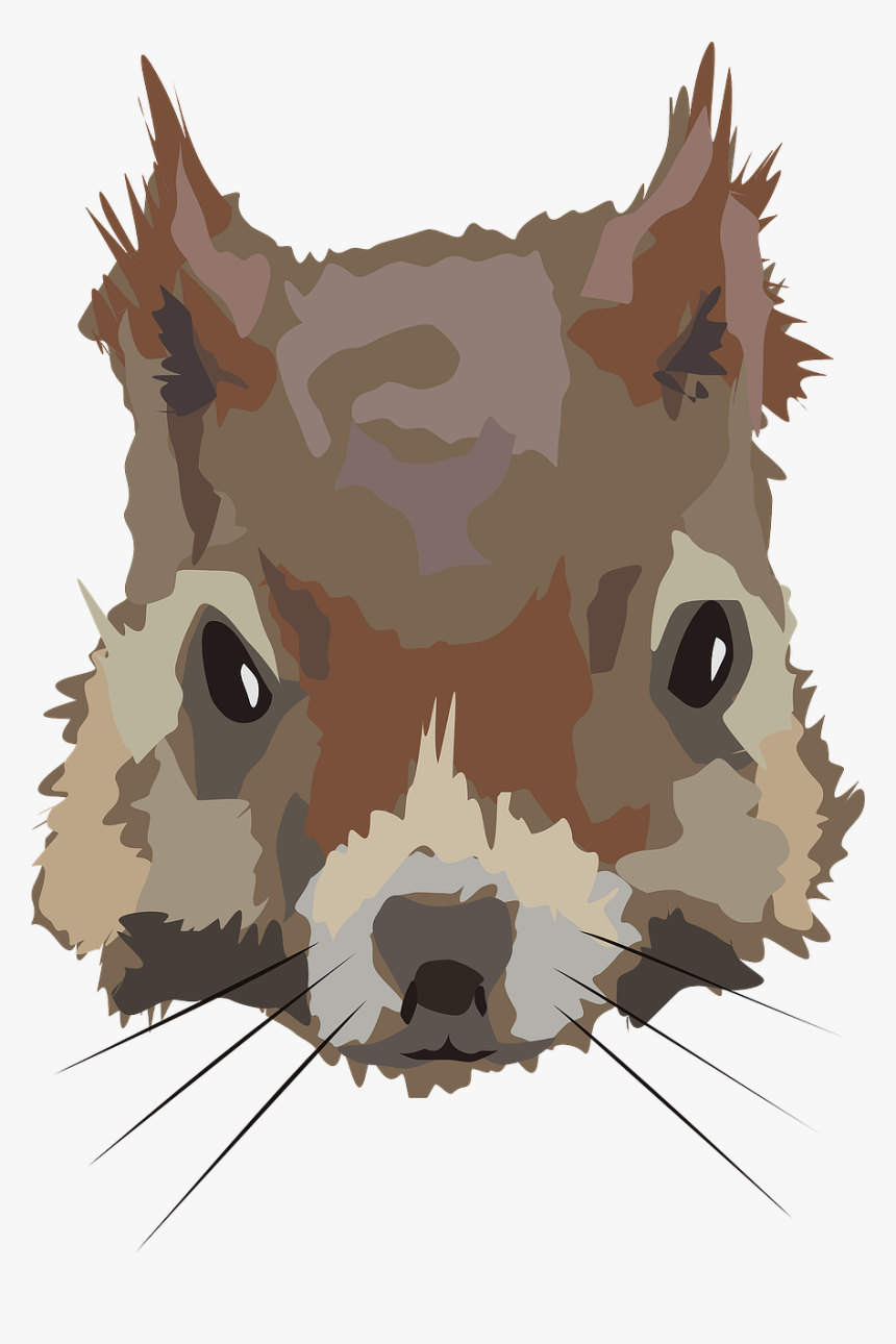 Squirrel, Head, Face, Animal, Mammal, Brown, Wildlife - Squirrel Face Png, Transparent Png, Free Download